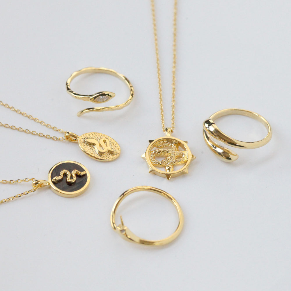 WHAT DOES A SNAKE SYMBOLIZE K Inc.